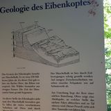 2020.8.27. Waldlehrpfad Eibenkopf (19)